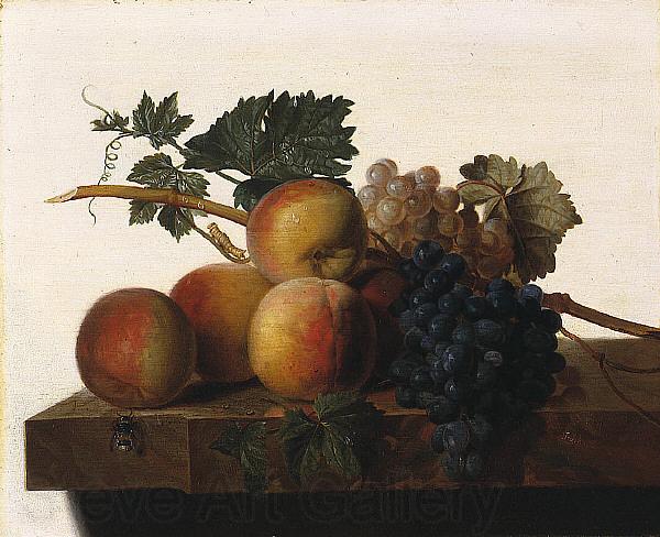 John Johnston Still Life